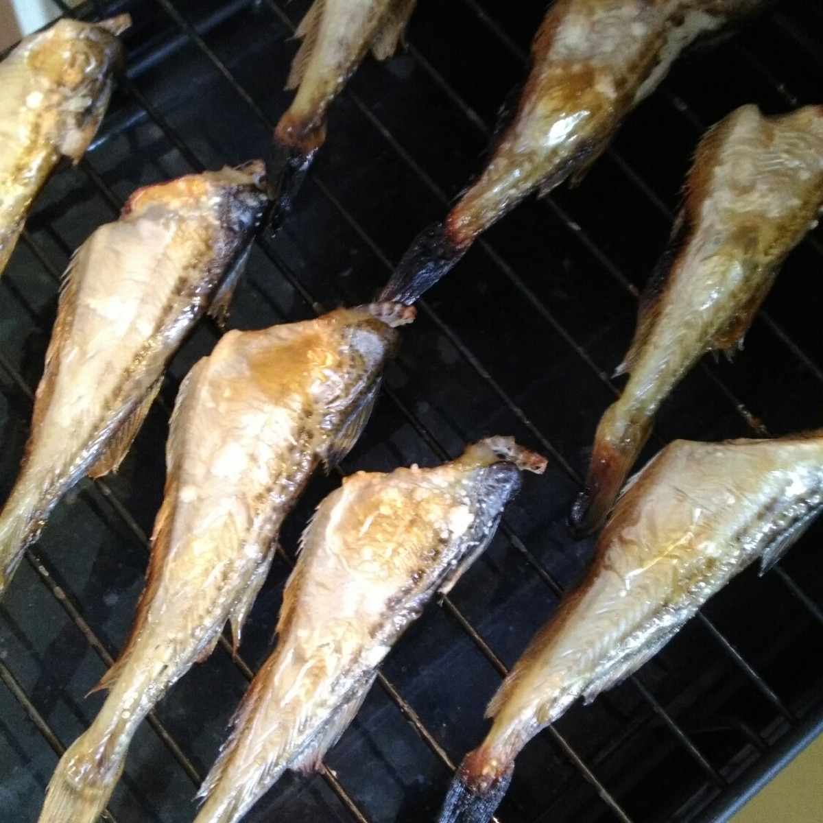 ハタハタの塩焼き レシピ 作り方 By たまラン 子 楽天レシピ ハタハタの塩焼き レシピ 作り方 By たまラン 子 楽天レシピ